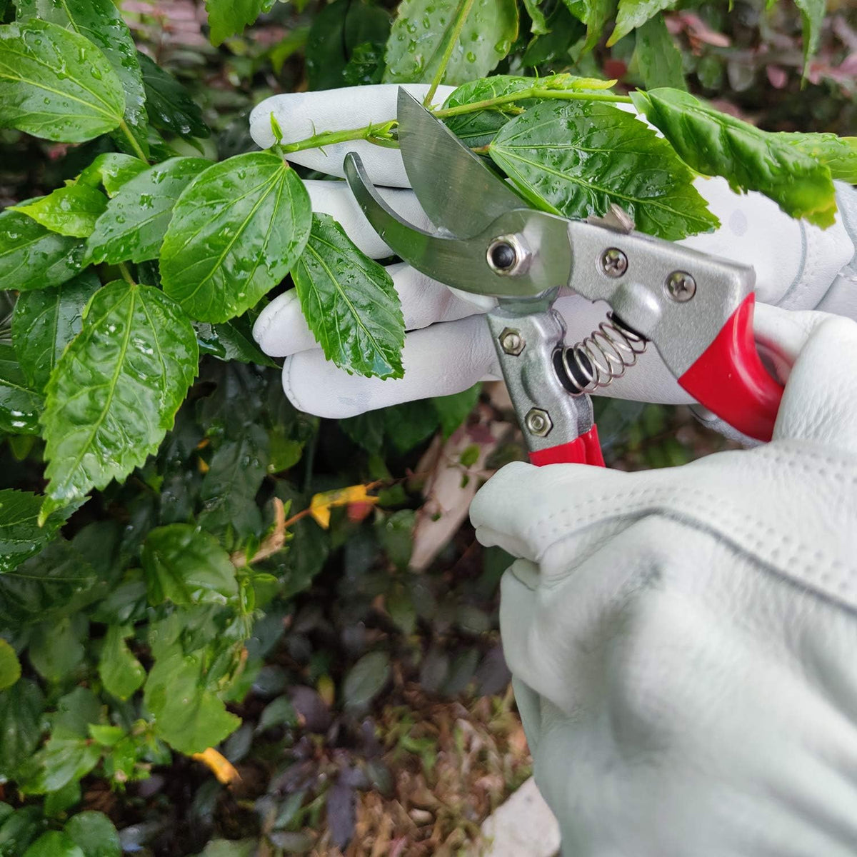Long Gardening-Gloves Women/Men-Thorn proof Rose Pruning Heavy Duty Gauntlet-XL