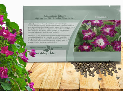 Outsidepride Sunrise Serenade Morning Glory Seeds - 50 Pcs. Annual, Climbing & Vining Flower Seeds