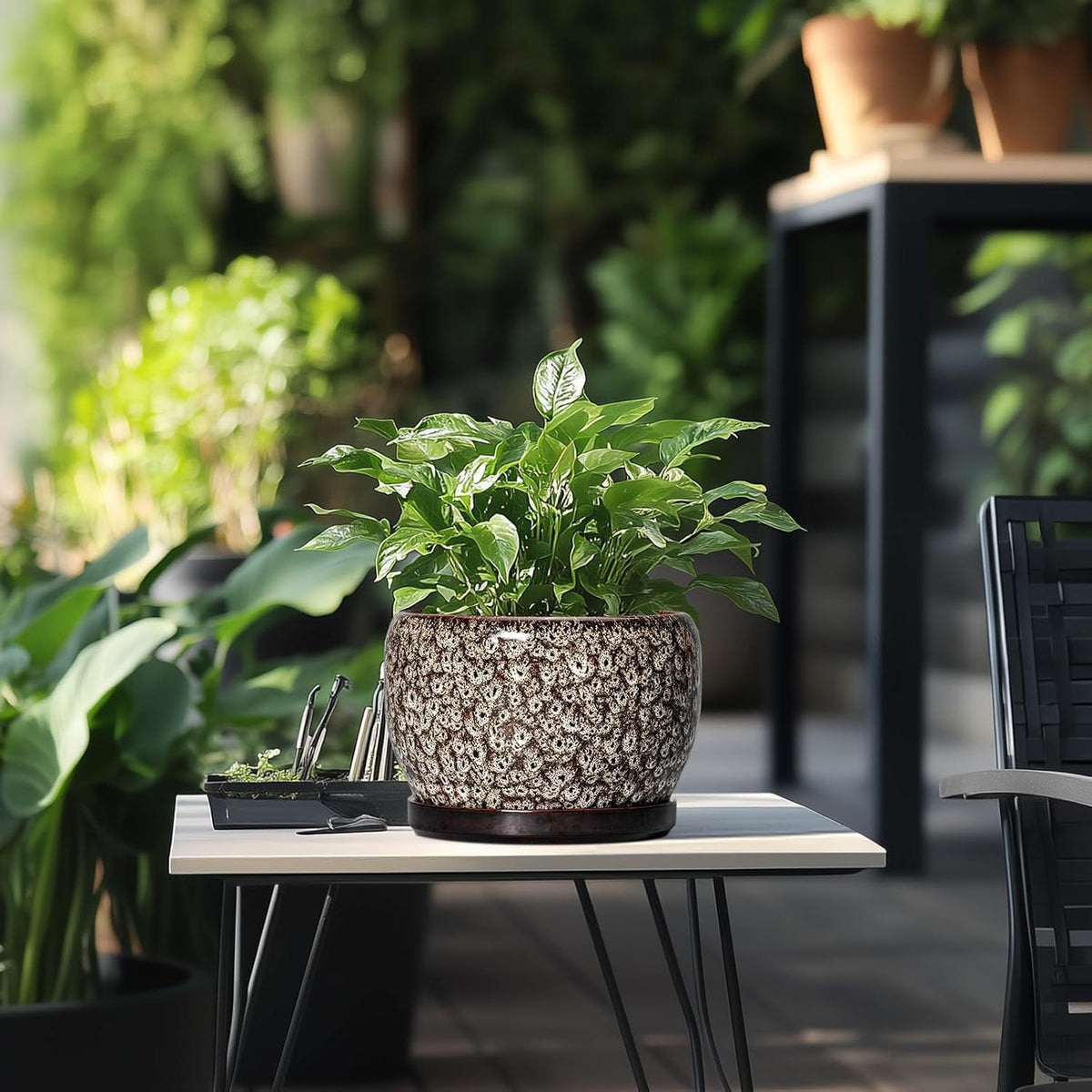 SQOWL Ceramic Planter - 8 inch Plant Pot Indoor with Drainage Hole and Plant Saucer, Round Ceramic
