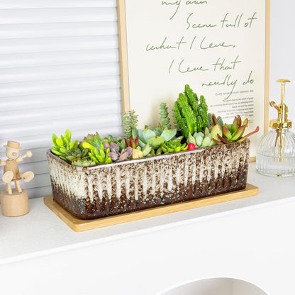Succulent Pots - 12 Inch Large Succulent Planters with Drainage Tray, Window Sill Planter, Long