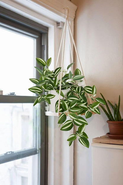 Fake Hanging Plants, 20 Inch Artificial Ivy Plant in Ceramic Pot Faux Vine Potted for Home Bedroom
