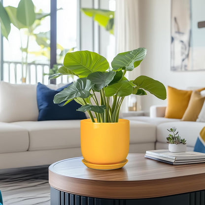 Indoor Plant Pot - 7 Inch Modern Round Ceramic Planter for Indoor Outdoor Plants with Drainage Hole