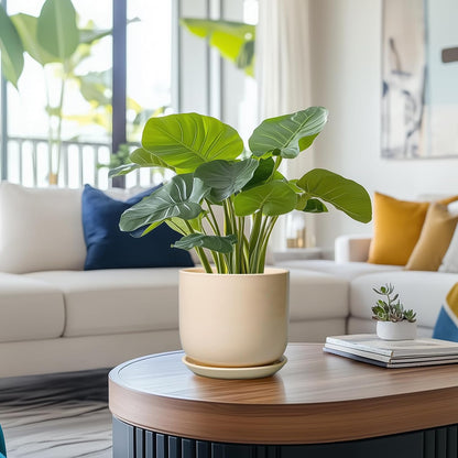 Ceramic Plant Pot - 7 Inch Mid Century Round Ceramic Planter for Indoor Plants with Drainage Hole