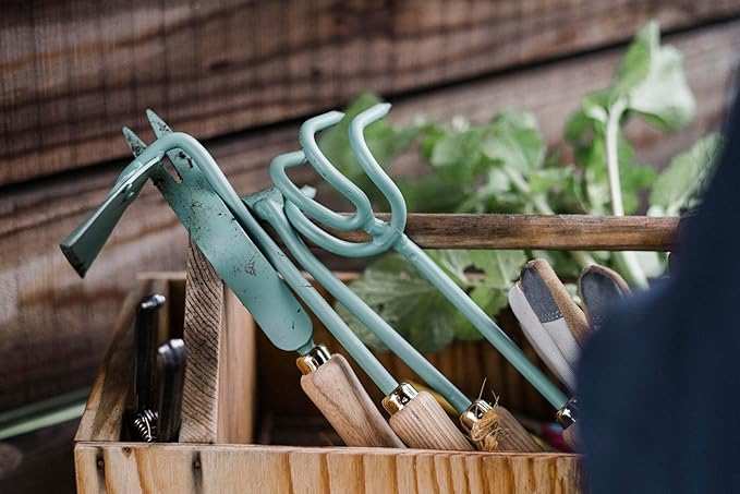 Barebones Triangle Hoe - Stainless Steel Blade Japanese Gardening Tools for Weeding Long Handle and
