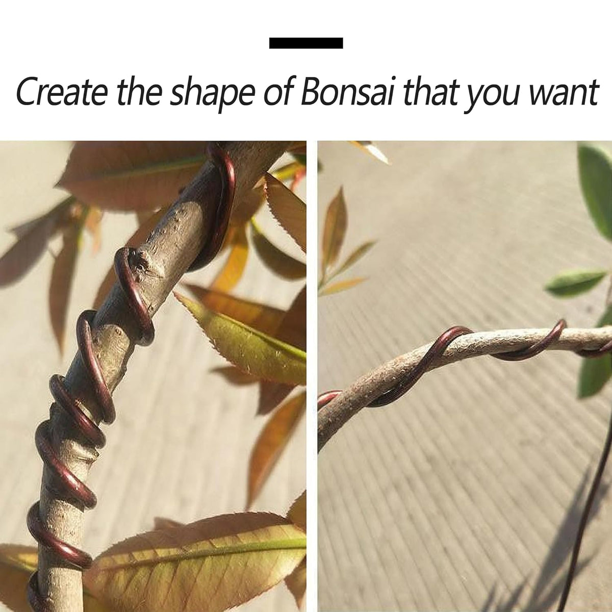 2 Rolls 2mm Bonsai Training Wire, Aluminum Training Wire for Holding Bonsai Branches Small Trunks