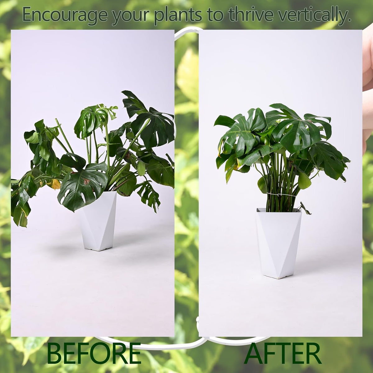 White Monstera Plant Stem Support - 5PCS 7.3x6.25in Durable Adjustable Garden Stake for Indoor
