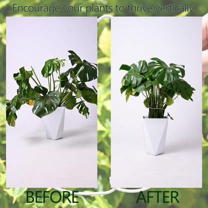 White Monstera Plant Stem Support - 5PCS 7.3x6.25in Durable Adjustable Garden Stake for Indoor