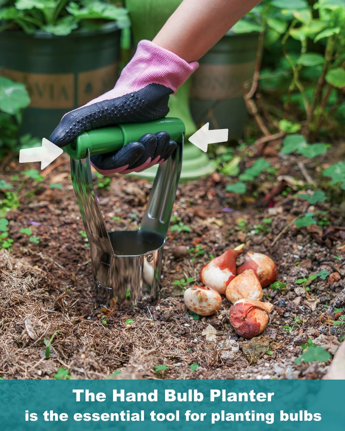 Bulb Planter Tool with Release Button&4Inch Measurements Tulip Planting Tool Bulb Transplanter Bulb