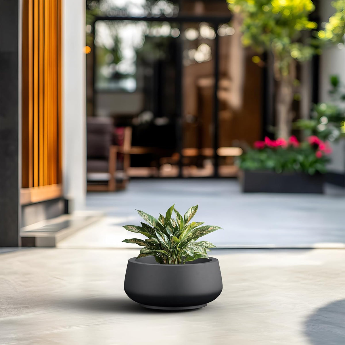 Kante 12.5" Dia Round Concrete Bonsai Planters, Outdoor Indoor Garden Plant Pot with Drainage Hole