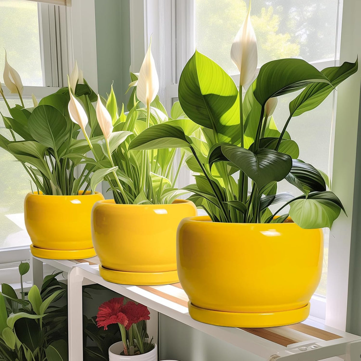 SQOWL 6 Inch Plant Pot - Ceramic Planter with Drainage Hole and Saucer, Modern Ceramic Flower Pots
