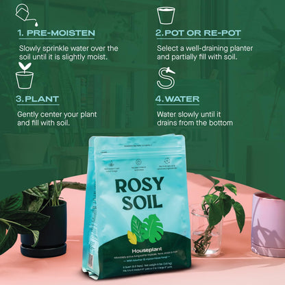 Rosy Soil Indoor Potting Soil for House Plants, 2 x 8 qrt - Organic Potting Soil Mix for Indoor