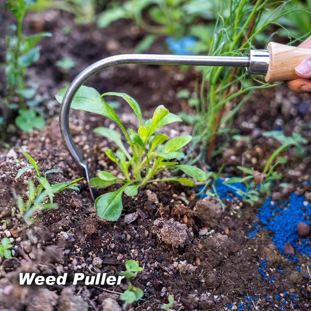 Berry&Bird Weed Puller, Crack Weeder Cultivator Garden Hand Tool, Durable Curved Head Hook & Wooden