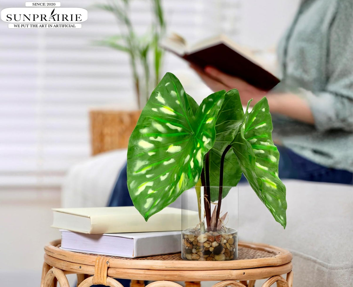 SUNPRAIRIE Tropical Artificial Plant in Clear Pot with Artificial Water, Wide Arrowhead Leaves.