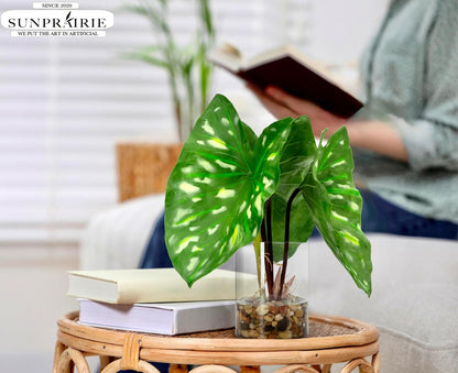 SUNPRAIRIE Tropical Artificial Plant in Clear Pot with Artificial Water, Wide Arrowhead Leaves.