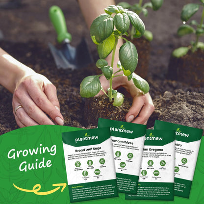 10 Herb Seeds Variety Pack - 7,000+ Heirloom Non-GMO Seeds - Basil, Cilantro, Lavender, Parsley