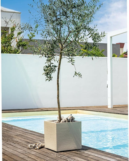Deroma Millennium 19” Cube | Light & Durable Plastic | Indoor/Outdoor Square Pot for Patio | Water