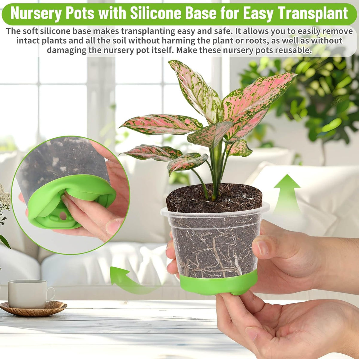 Caffox 57PCS Reusable Seed Starter Kit Includes 26 Packs 4" Clear Nursery Pots with Silicone Base