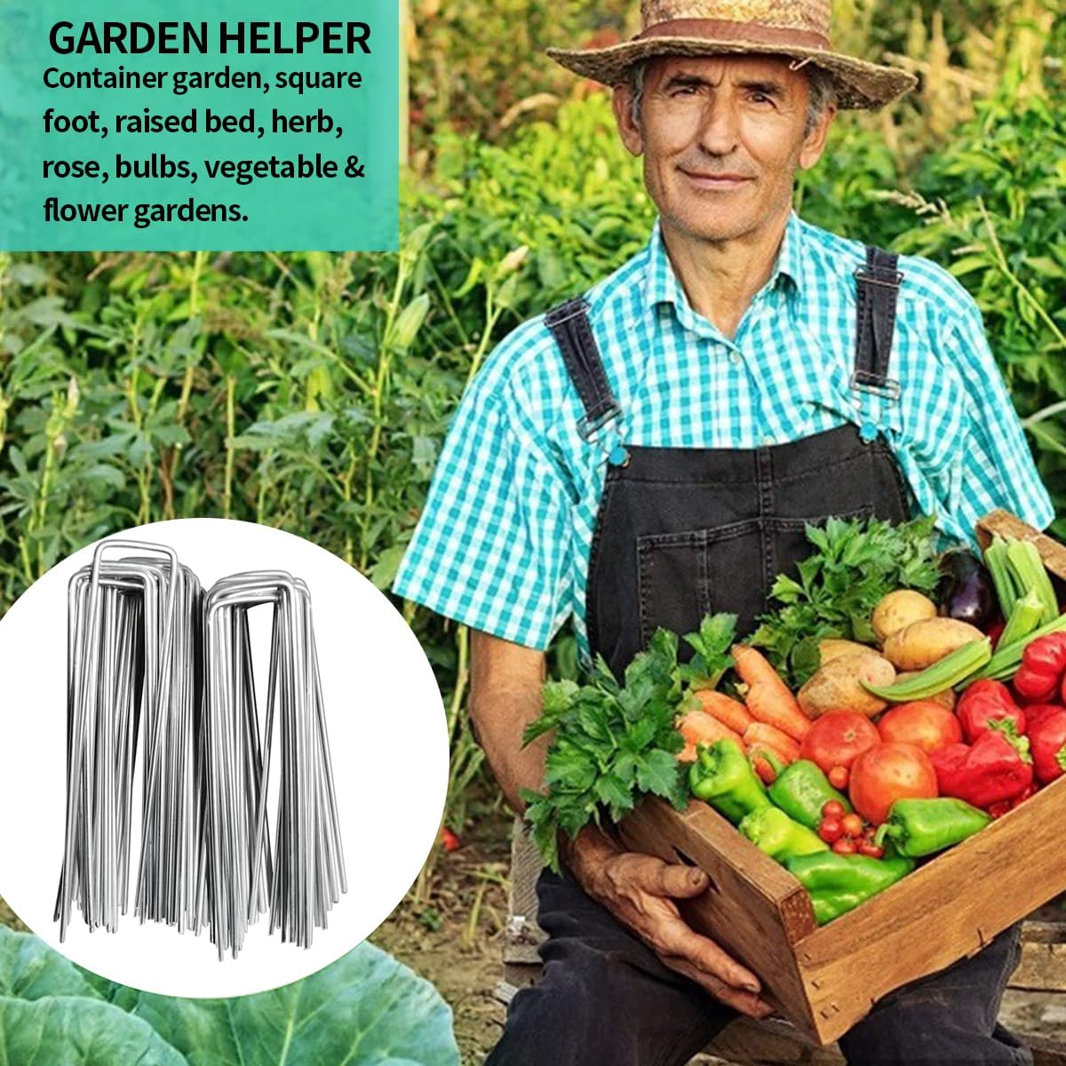 100 Pieces 6 Inch 11 Gauge Galvanized Landscape Staples,Stakes for Outdoor Decorations, Anti-Rust