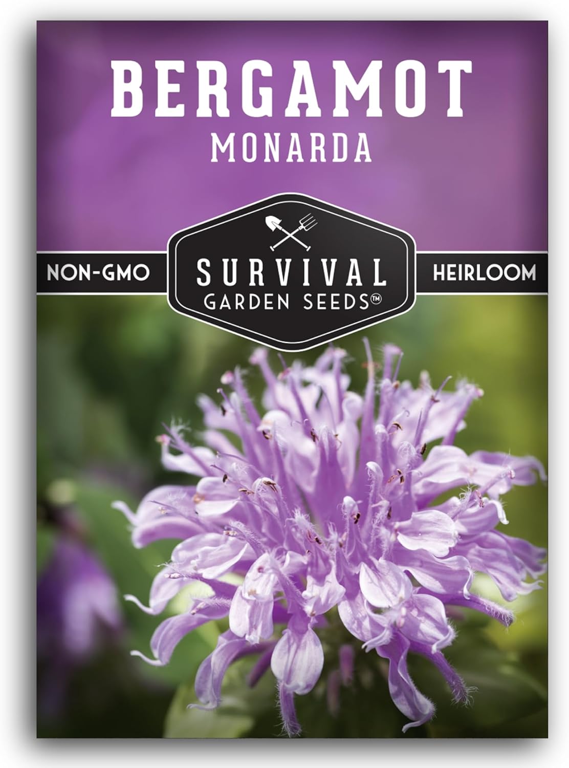 Survival Garden Seeds - Bergamot Herb (Bee Balm) Seed for Planting - 1 Packet with Instructions to