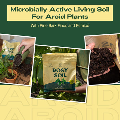 Rosy Soil Aroid Soil Potting Mix - Peat-Free, Microbially Active Biochar Powered Soil for Aroids