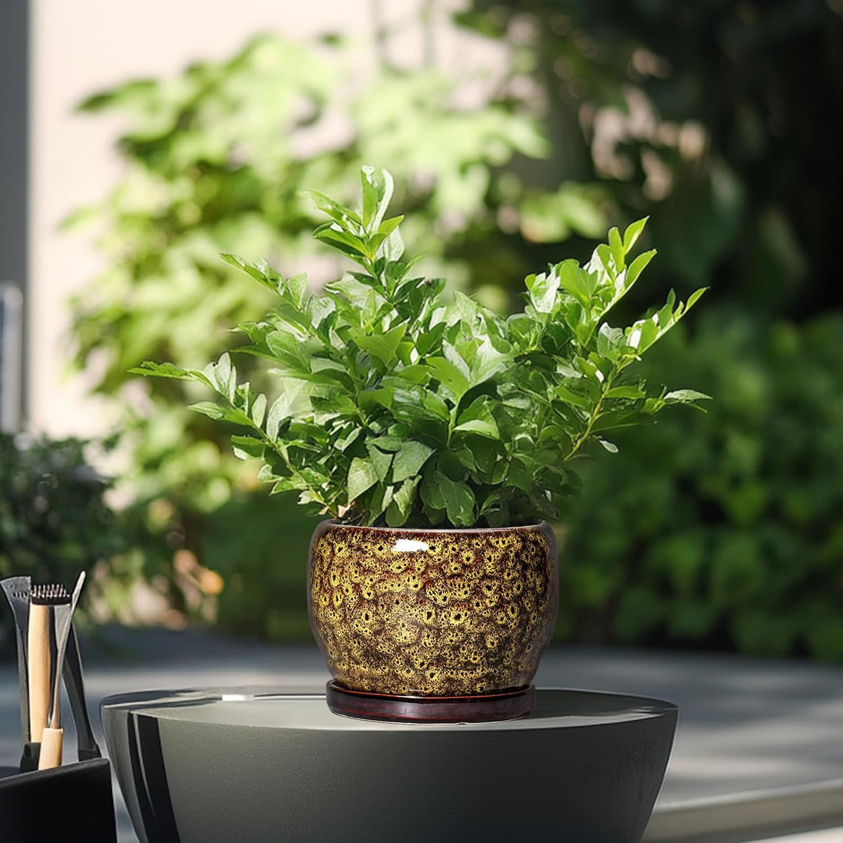 SQOWL 6 Inch Plant Pot - Ceramic Flower Pots with Drainage Hole and Saucer, Ceramic Planter for