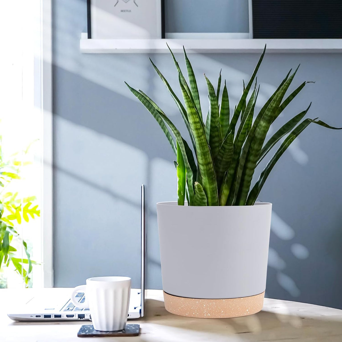 QCQHDU 6.5 inch Plant Pot, 2 Pack Planters for Indoor Plants with Drainage Holes & Saucer, Outdoor
