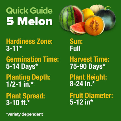HOME GROWN 𝗨𝗦𝗔 𝗣𝗥𝗘𝗠𝗜𝗨𝗠 Melon Seeds Variety Pack 5 𝗡𝗢𝗡-𝗚𝗠𝗢 Heirloom Vegetable Seeds