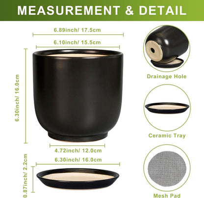 Ceramic Planter 7 Inch - Cylinder Round Modern Indoor Plant Pot for Plants with Drainage Hole and
