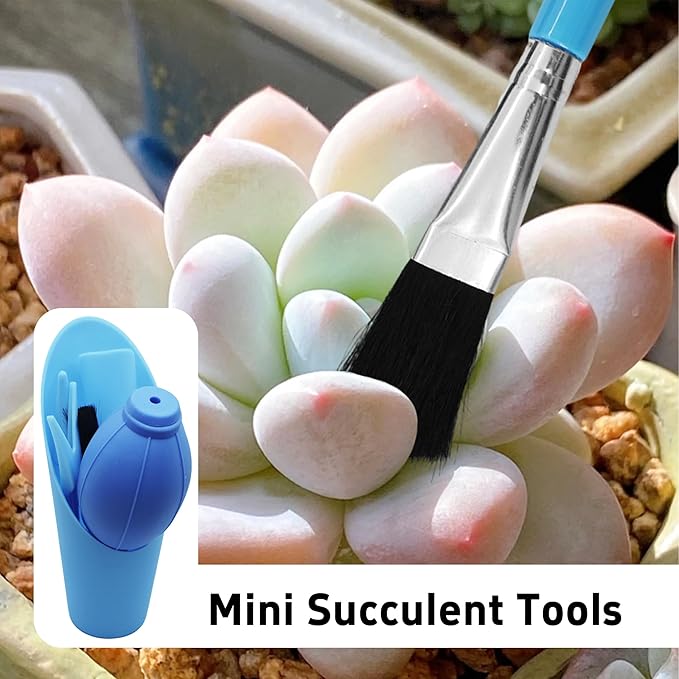 6Pcs Mini Succulent Tools Set, Garden Hand Tools Kit for Indoor Plant Care, Succulent Bonsai