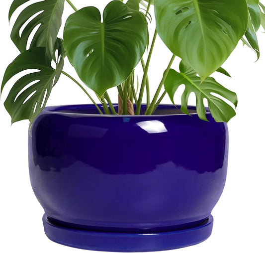 SQOWL Ceramic Plant Pot - 10 Inch Ceramic Planter for Indoor Outdoor, Round Flower Pot with