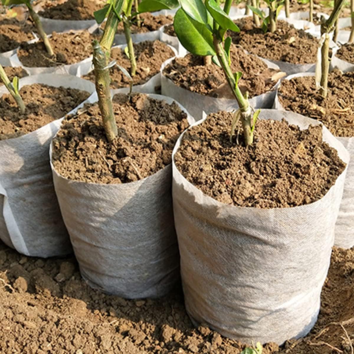 gardtree Plant Nursery Bags 4.7 * 5.5 inches 200PCS, Non-Woven Plant Grow Bags Fabric Seedling