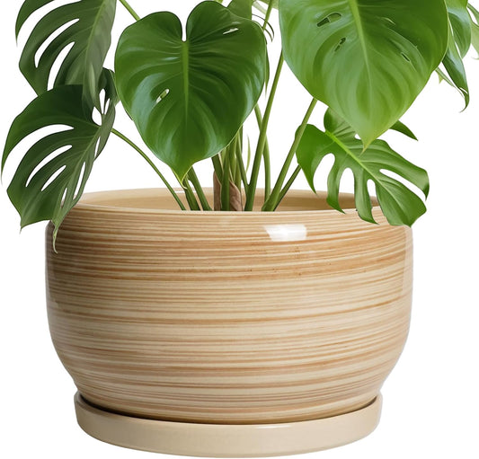 SQOWL Ceramic Plant Pot - 10 Inch Large Planter with Drainage Hole and Saucer, Round Modern Planter