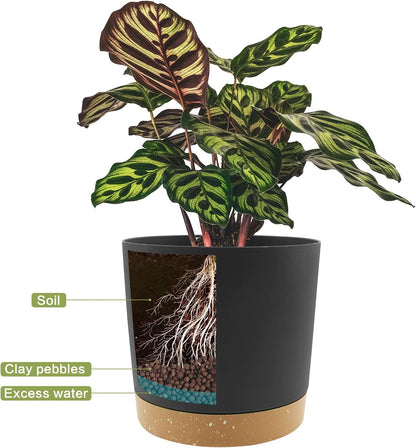 QCQHDU 12 inch Plant Pot, 2 Pack Planters for Indoor Plants with Drainage Holes & Saucer, Outdoor