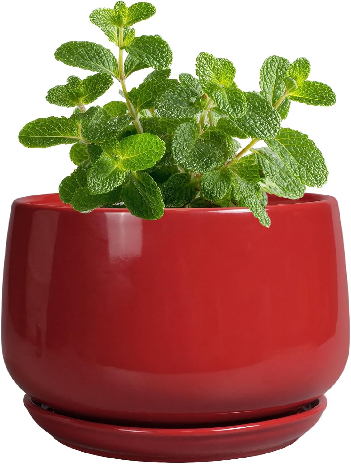 G EPGardening Ceramic Pots for Plants - 4 inch Succulent Pots Indoor Outdoor, Small Planter with