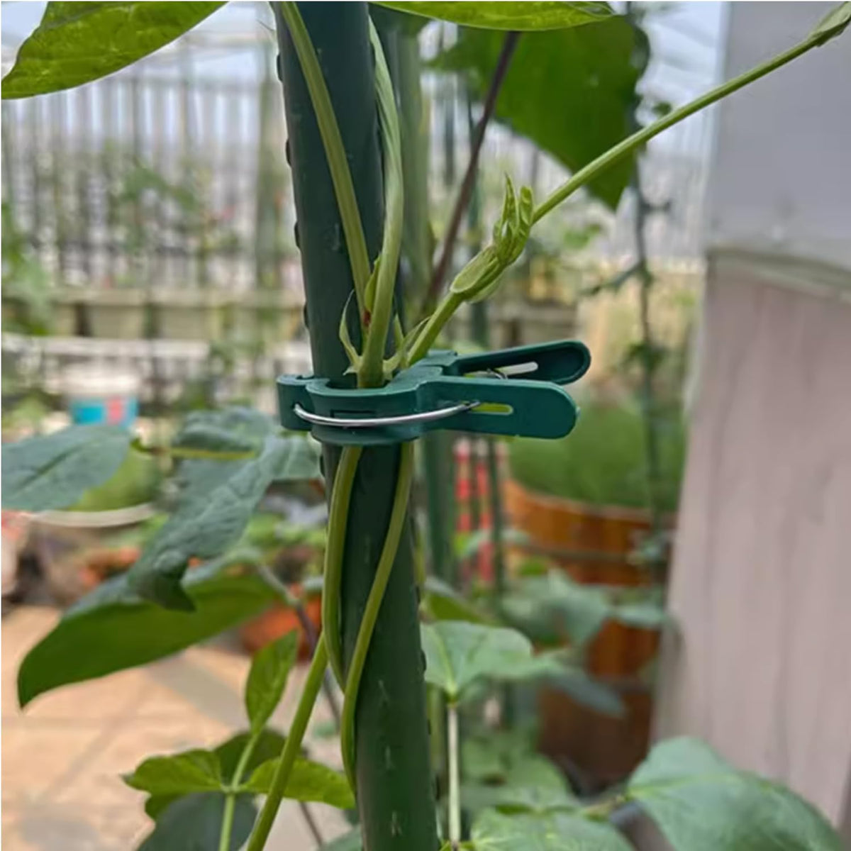 60 Garden Plant Clamps,Plant Support Clamps Hold Plant Stems,for Multi-Purpose Plants Rattan Clamps