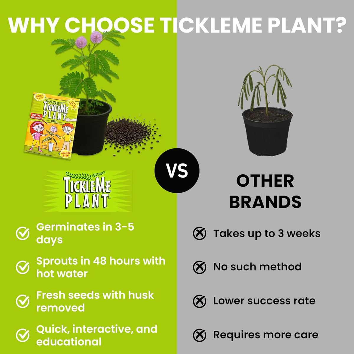 TickleMe Plant Seeds for Indoor Planting (2-Pack) – Interactive Party Favor | Leaves Close When