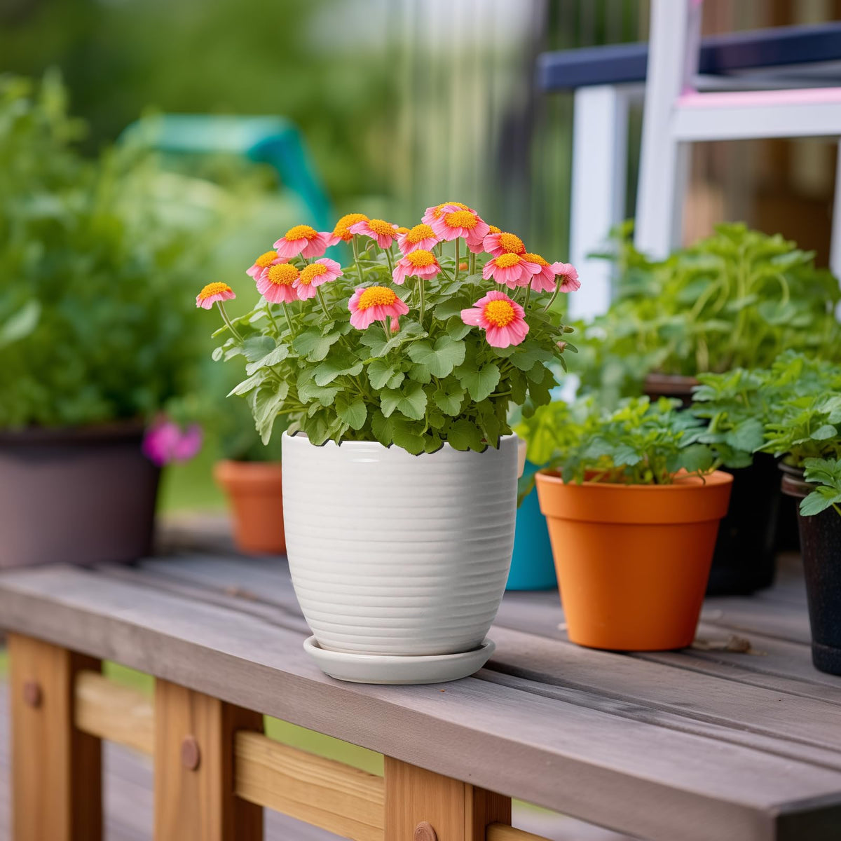 EPFamily Ceramic Pots for Plants - 6 Inch Plant Pot with Drainage Hole and Saucer, Round Planters