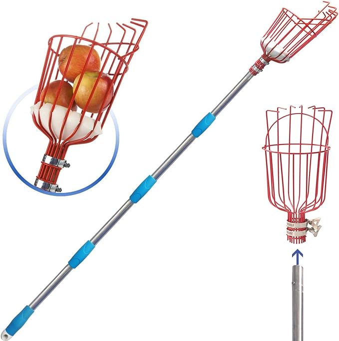 COCONUT Fruit Picker Pole with Basket Telescoping, 10 FT Fruit Picker Tool for Mango Orange Lemon