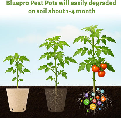 120 Packs 3.15 Inch Peat Pots, Biodegradable Pots for Seedlings with Drainage Holes, Herb Seed