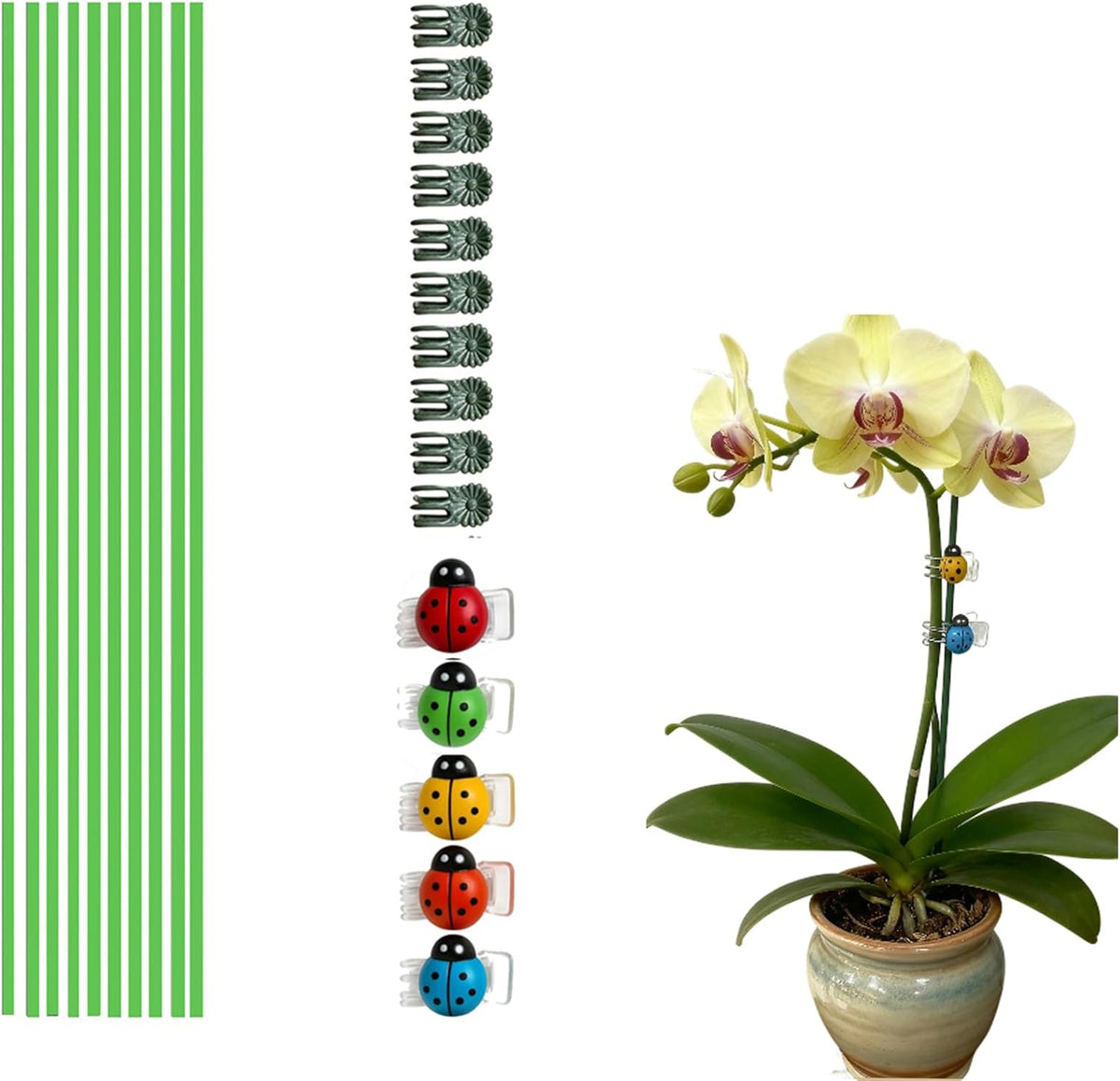 16.5 Inch Plant Stakes - 10 Pcs Bendable Plant Support Stakes Green with 10 Clips & 5 Adorable