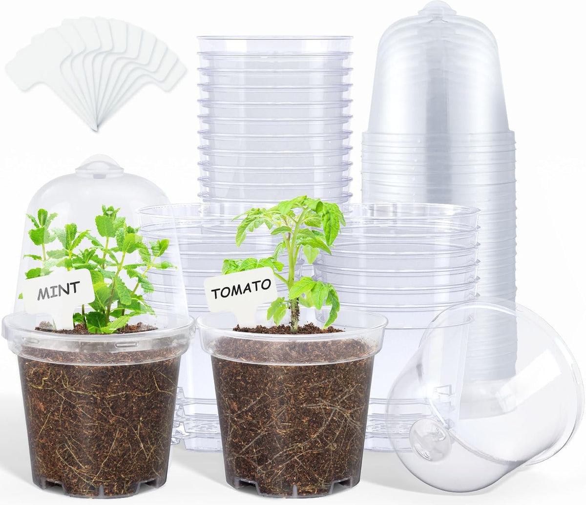 homenote Clear Nursery Pots for Plants,4 Inch Plant Pot for Planting with Humidity Domes Plastic