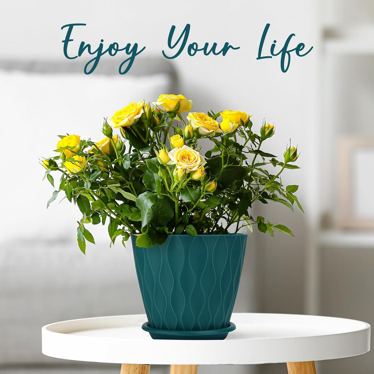 6 inch Plant Pots, 5 Pack Flower Pots Outdoor Indoor, Planters with Drainage Hole and Tray