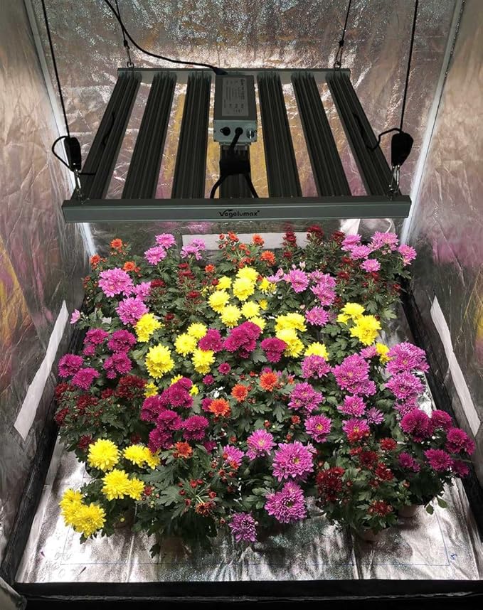 300Watt LED Grow Lamp UV IR Full Spectrum 4x4 5x5ft Coverage Grow Light Bar with 1092pcs Diodes 7