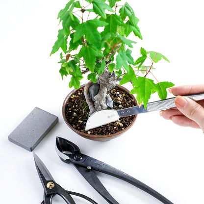 Wazakura 4PCS Bonsai Essential Tool Kit MADE IN JAPAN, Japanese Bonsai Scissors 7inch(180mm) +