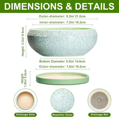 Bonsai Pots Ceramic - 8 Inch Succulent Pots Indoor Outdoor, Shallow Planters with Drainage Hole and