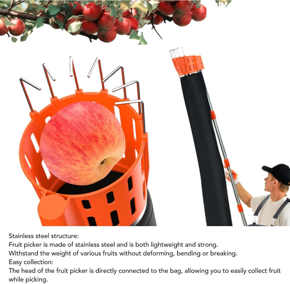lyrlody Fruit Picker Pole Tool with Basket Telescoping Long Handle, 13FT Adjustable Orange Picker