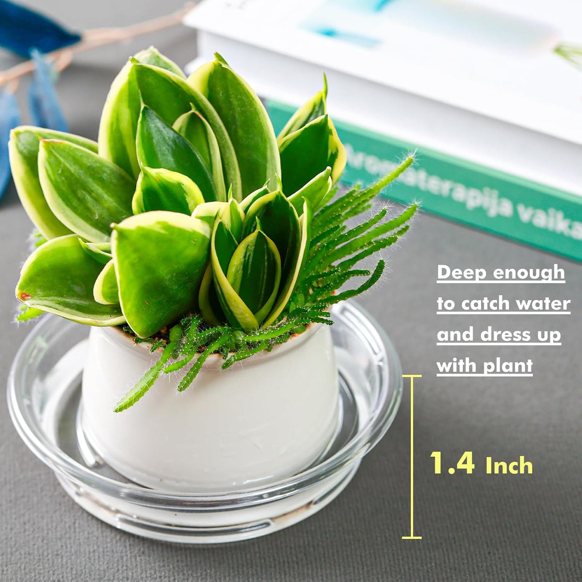 Plant Saucer 50 Pack Plant Trays for Pots 4 Inch Plastic Plant Saucers for Outdoors and Indoors