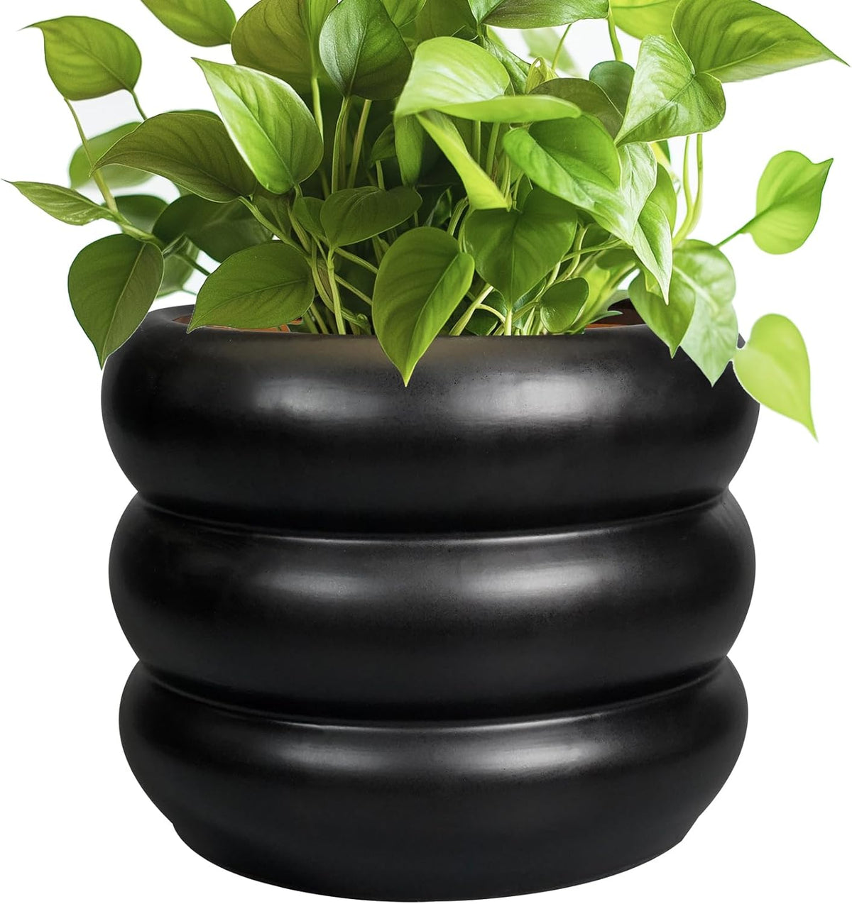 SQOWL Ceramic Pot for Plants 8 Inch - Indoor Plant Pot with Drainage Hole Planter for Outdoor