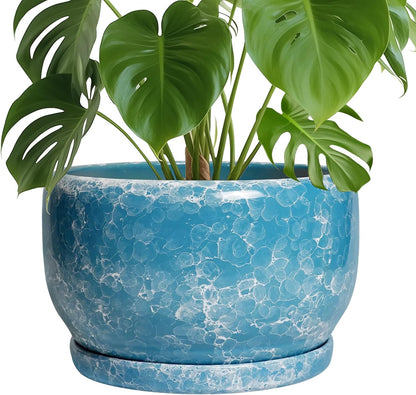 SQOWL Ceramic Planters - 10 Inch Plant Pot Indoor with Drainage Hole and Saucer, Decorative Flower