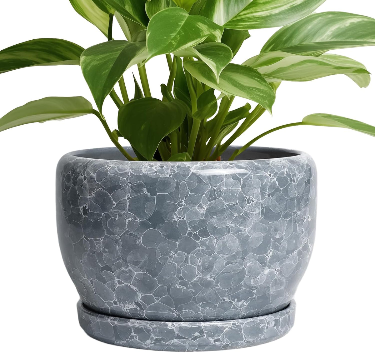 SQOWL 8 inch Plant pots Indoor - Ceramic Planter with Drainage Hole and Plant Saucer, Decorative